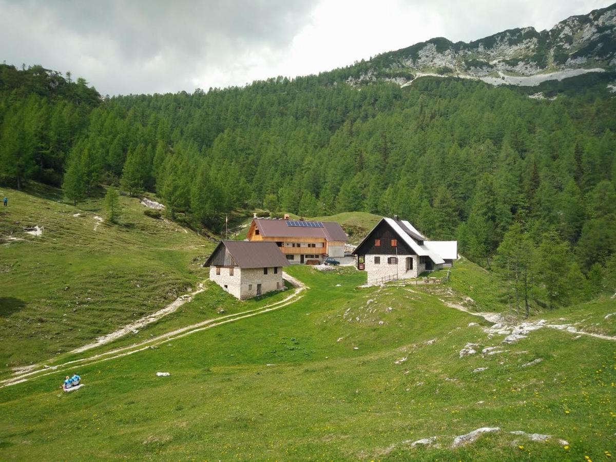 Homestead Zatrnik Near Bled Exteriör bild