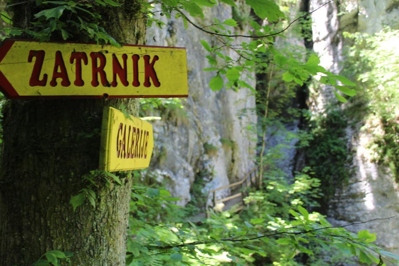 Homestead Zatrnik Near Bled Exteriör bild