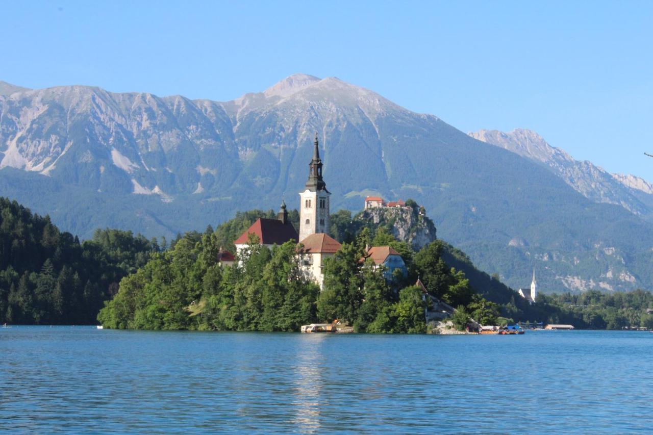 Homestead Zatrnik Near Bled Exteriör bild